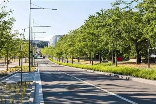 国外街道景观改造，为何如何让人津津乐道？